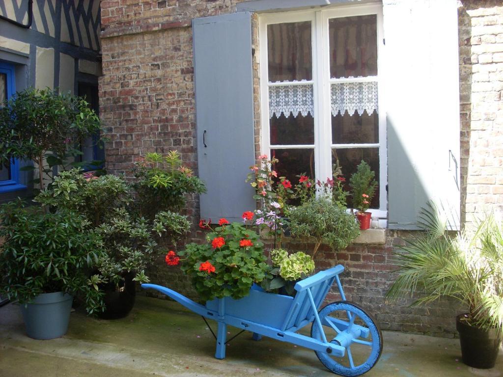 Reglisse Et Pain D'epices - D'hôtes Honfleur